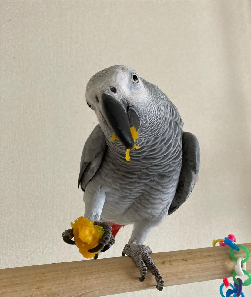 Zoe