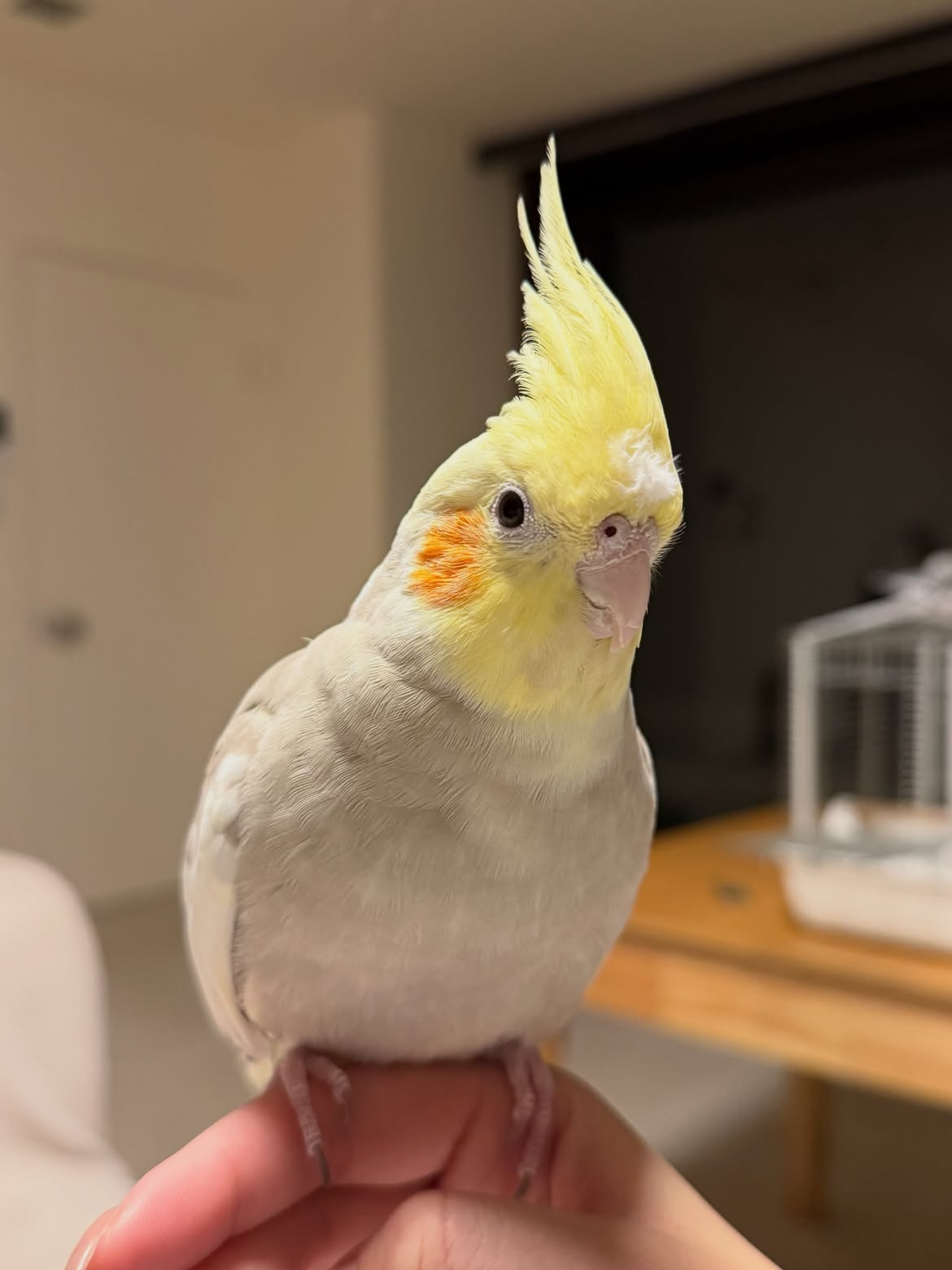 Bob.