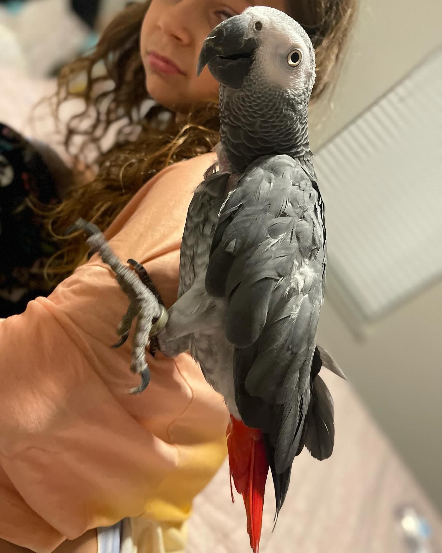 Rita11